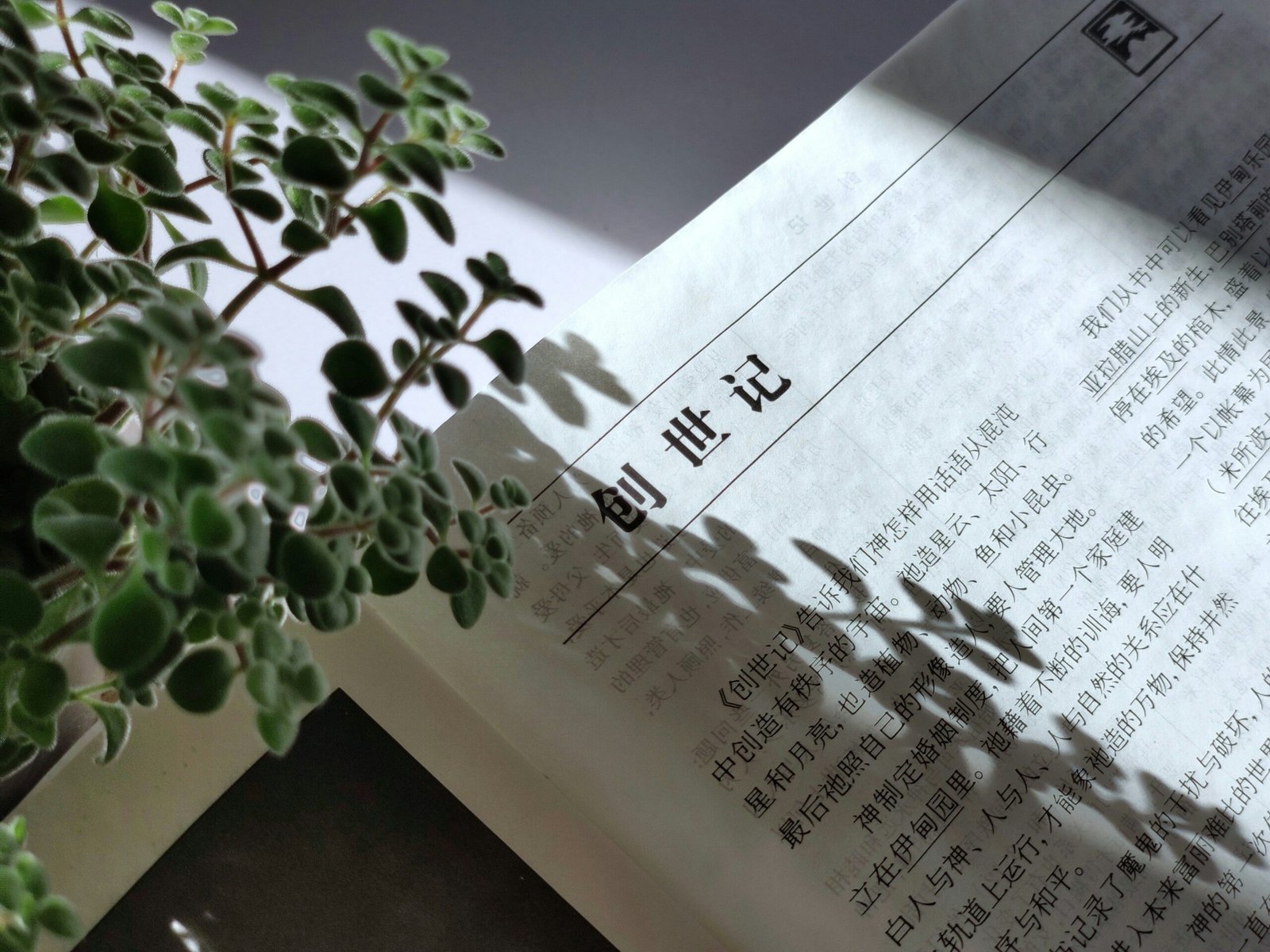 Learning Chinese business document with trade paperwork